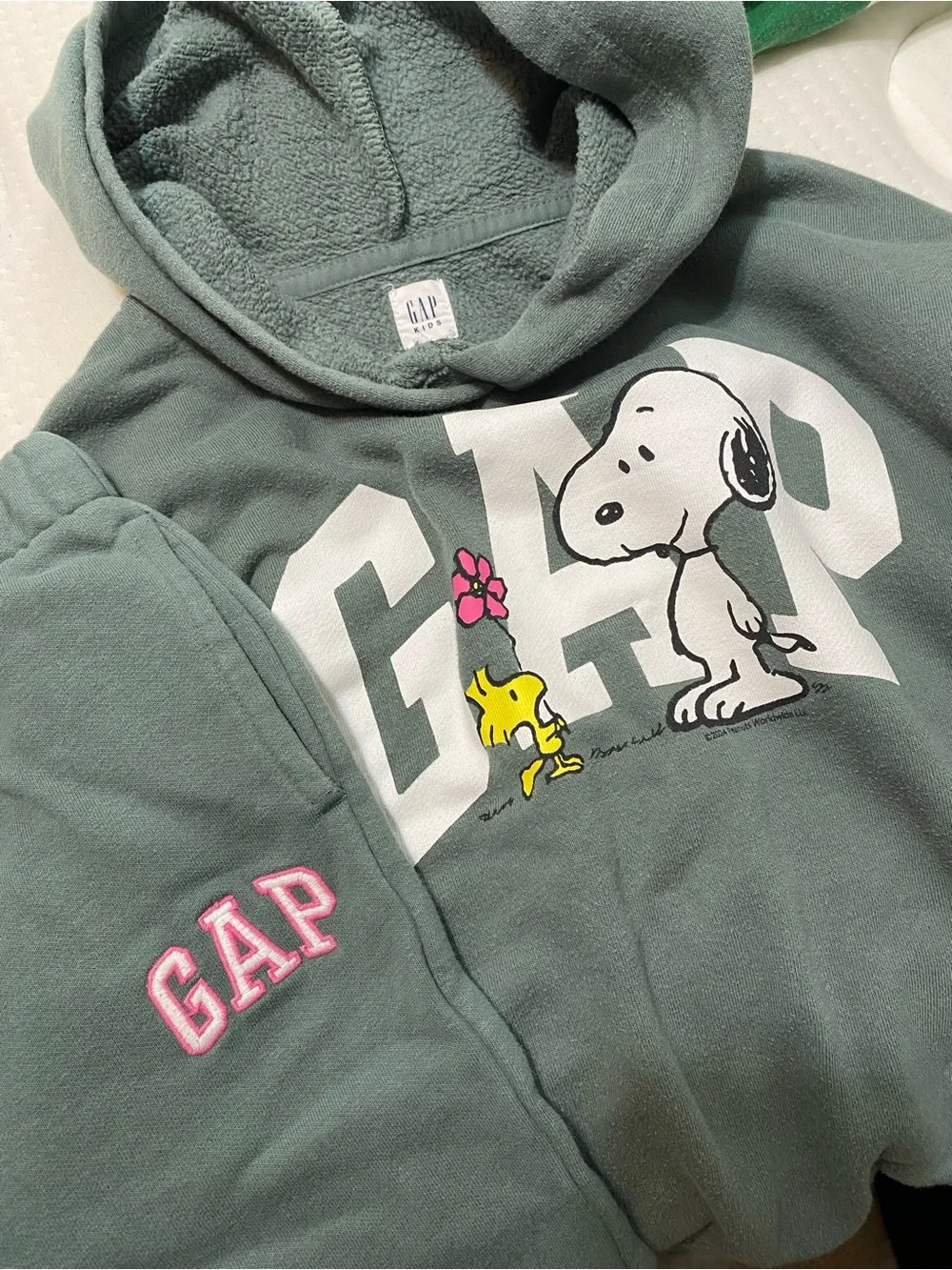 GAP Kids Sage Green Snoopy & Woodstock Hoodie